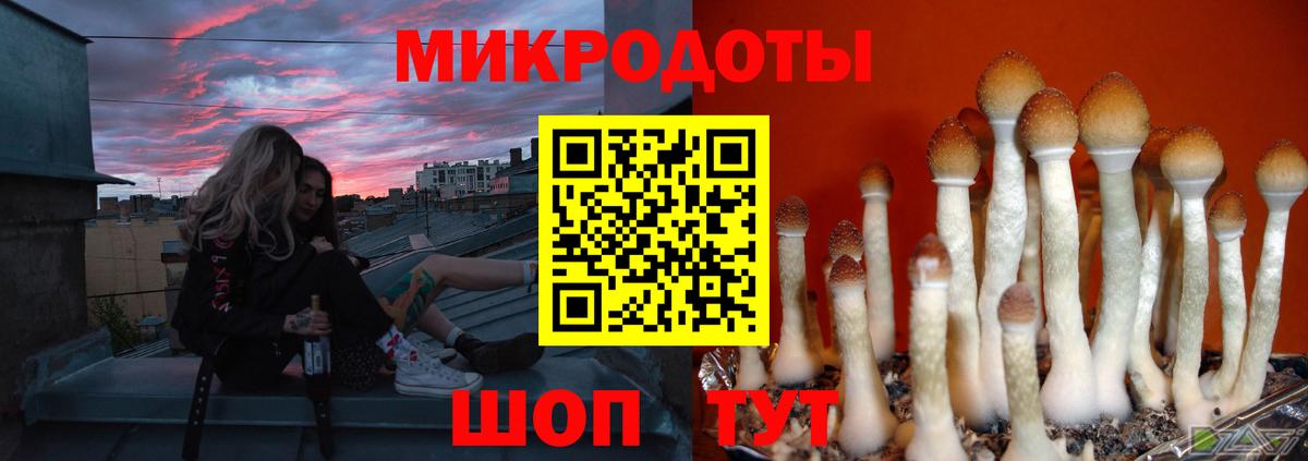 Псилоцибиновые грибы Psilocybe  Псилоцибиновые грибы Cubensis  Рузаевка  Вход с VPN 